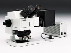 System Industrial Microscope BXFM (built-in unit)