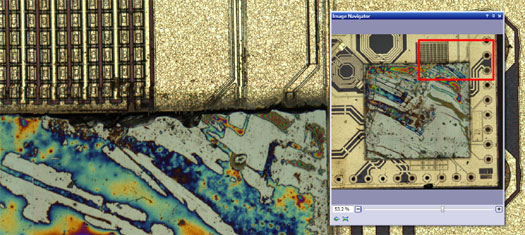 Olympus stream software live navigation in Peeled integrated circuit