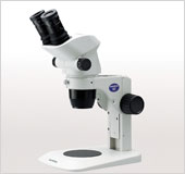 Built-in Type(SX61/SZ51-60) > Olympus SZ61 | Stereo Microscope | Life Science Microscopes > Olympus SZ61, Olympus SZ61 Microscope, Stereo Biological Microscopes, Stereo Materials Microscopes