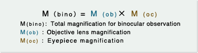 Observation Through Eyepiece (Binocular Observation)