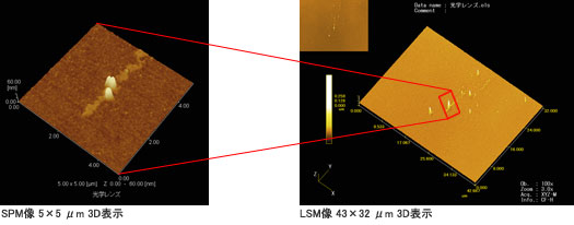SPM像5×5μm 3D表示 LSM像43×32μm 3D表示