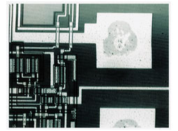 Immagine IR di una sezione di elettrodo