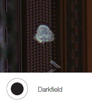 Photoresist residue on a semiconductor wafer - Darkfield