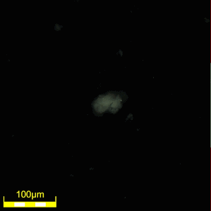 Particle suspended in clearcoat—693x, DSX510 microscope.