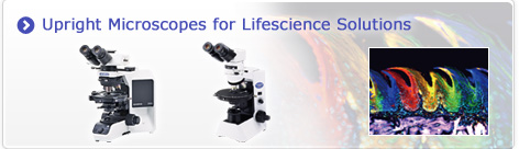 Upright Microscopes